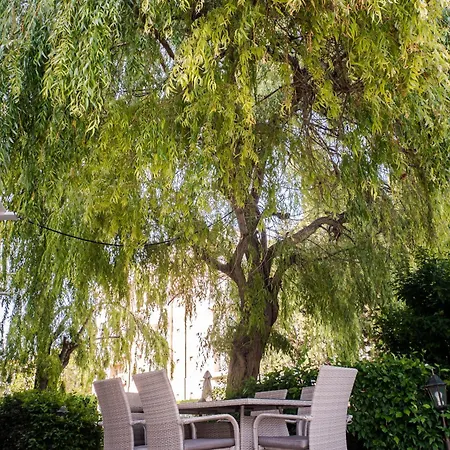 Otel Aurora 3*